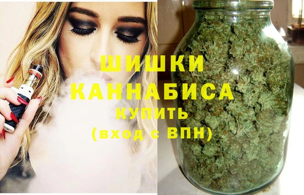 мет Инта