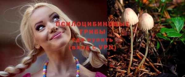 стаф Волоколамск